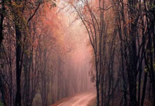 蓝鲸体育官网：郑钦文取得澳网开门红人民日报客户端.