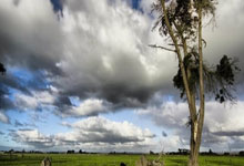 马卡：因控制工作负荷量，维尼修斯缺席了巴西周六的有球训练.