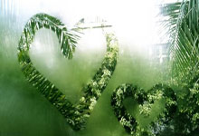 蓝鲸体育官网：[国际足球]吉拉西短传送助攻 米洛重炮折射入门.